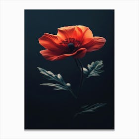 Poppies 109 Canvas Print