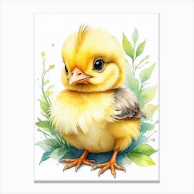 chick Canvas Print