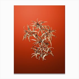 Gold Botanical Common Sea Buckthorn on Tomato Red n.1050 Canvas Print