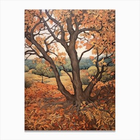 Boxelde 1 Vintage Autumn Tree Print  Canvas Print
