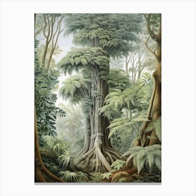 Vintage Jungle Botanical Illustration Rainforest Tree 2 Canvas Print