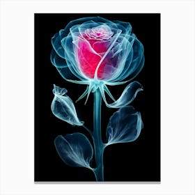 X-Ray Rose Canvas Print