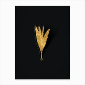 Vintage Autumn Crocus Botanical in Gold on Black n.0100 Canvas Print