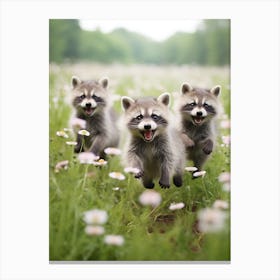 Cute Funny Tres Marias Raccoon Running On A Field 2 Canvas Print
