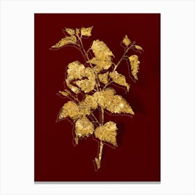 Vintage Silver Birch Botanical in Gold on Red n.0412 Canvas Print