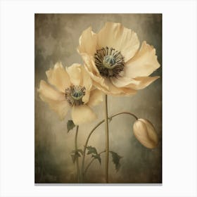 Poppies 20 Canvas Print