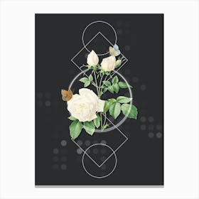 Vintage White Bengal Rose Botanical with Geometric Line Motif and Dot Pattern n.0383 Canvas Print