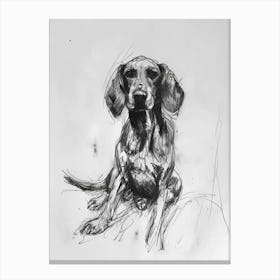Bluetick Hound Dog Charcoal Line 2 Canvas Print