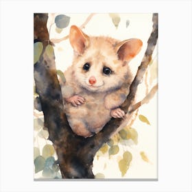 Adorable Chubby Hanging Possum 3 Canvas Print