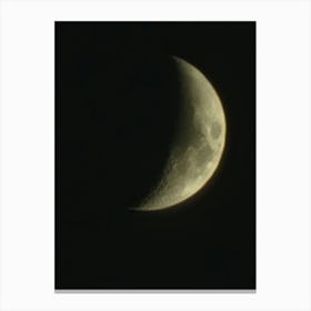 Moon - Moon Stock Videos & Royalty-Free Footage Canvas Print