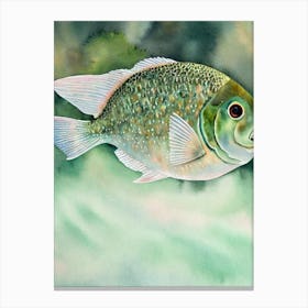 Giant Ocean Sunfish Storybook Watercolour Canvas Print