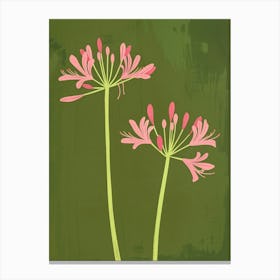 Pink & Green Agapanthus 2 Canvas Print