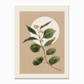 Beautiful Plant Leaves 3 Canvas Print