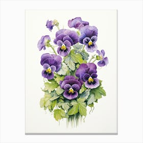 Pansies Flower Vintage Botanical 0 Canvas Print