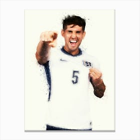 John Stones Canvas Print