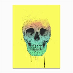 Pop Art Skull Canvas Print