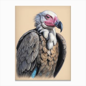 Glowering Vulture Canvas Print