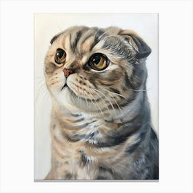 Scottish Fold Cat Painting 4 Canvas Print