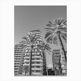 Black And White Photo Of Palm Trees Majorca Canvas Print