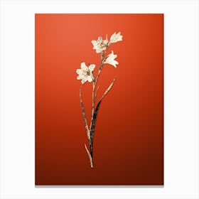 Gold Botanical Painted Lady on Tomato Red n.0469 Canvas Print