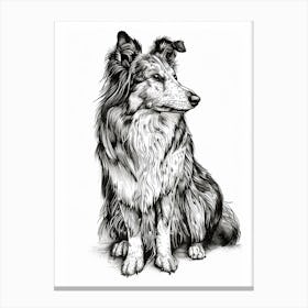 Shetland Sheepdog Dog Line Sketch 1 Canvas Print