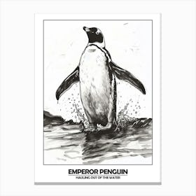 Penguin Hauling Out Of The Water Poster 6 Canvas Print