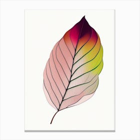 Rhododendron Leaf Abstract Canvas Print
