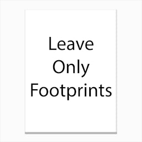 Environmental Quote 4 Canvas Print