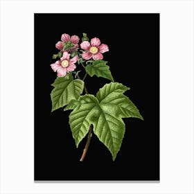 Vintage Purple Flowered Raspberry Botanical Illustration on Solid Black n.0076 Canvas Print