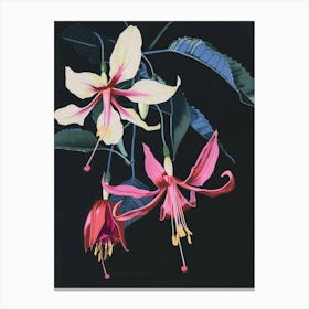 Neon Flowers On Black Fuchsia 2 Canvas Print
