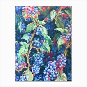 Marionberry 3 Classic Fruit Canvas Print