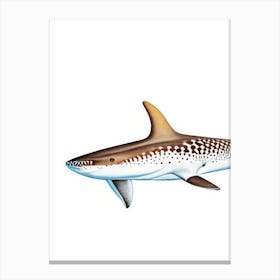 Epaulette Shark Vintage Canvas Print