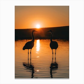 Sunset Sandhill Cranes Canvas Print