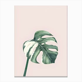 Monstera Leaf Canvas Print Canvas Print