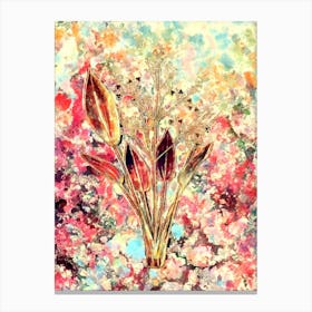 Impressionist European Water Plantain Botanical Painting in Blush Pink and Gold Canvas Print