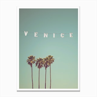 Venice Beach Palms I Canvas Print