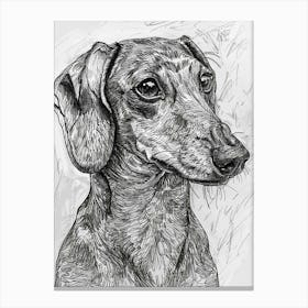 Dachshund Dog Line Sketch 2 Canvas Print