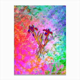 Sand Iris Botanical in Acid Neon Pink Green and Blue Canvas Print