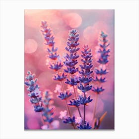 Lavender In Pink Light No 1 Canvas Print