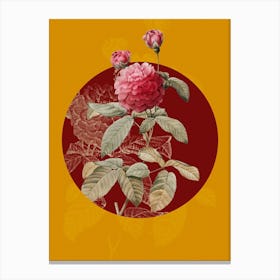 Vintage Botanical Agatha Rose in Bloom on Circle Red on Yellow n.0163 Canvas Print