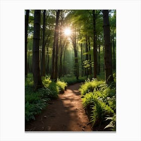 Sunrise In The Forest 3 Canvas Print