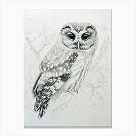 Northern Saw Whet Owl Marker Drawing 4 Canvas Print