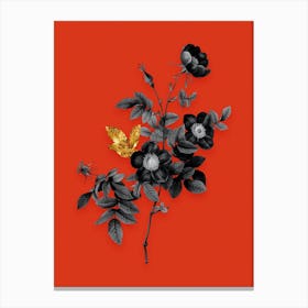 Vintage Alpine Rose Black and White Gold Leaf Floral Art on Tomato Red n.0048 Canvas Print