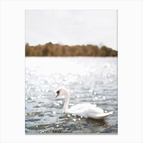 London, England I Swan on shimmering lake of Hyde Park natural and peaceful in the midst of nature with a photography blur bokeh and autumn light pastel color aesthetic like Central Park in New York city Canvas Print