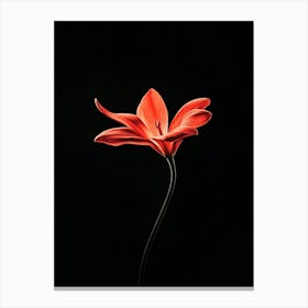 Single Red Flower Canvas Print