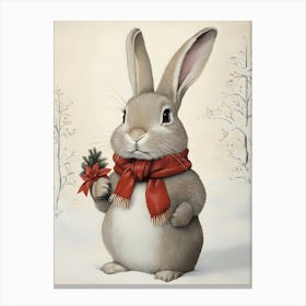 Christmas Bunny 9 Canvas Print