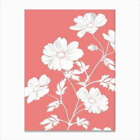 White Cosmos Canvas Print