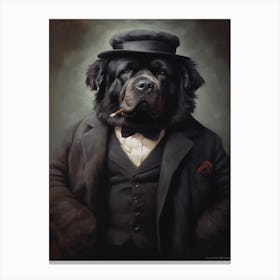 Gangster Dog Newfoundland Canvas Print