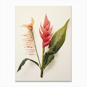 Pressed Flower Botanical Art Heliconia 1 Canvas Print
