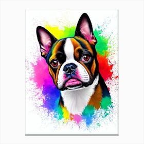 Boston Terrier Rainbow Oil Painting dog Canvas Print